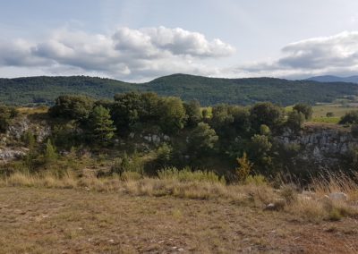 2017-08-19 17.47.48